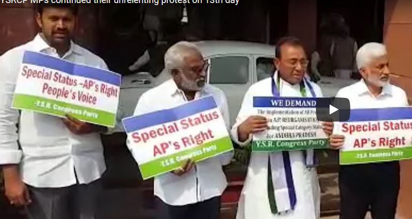 YSRCP MPs continued their unrelenting protest on 13th day